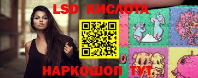 спиды Гай