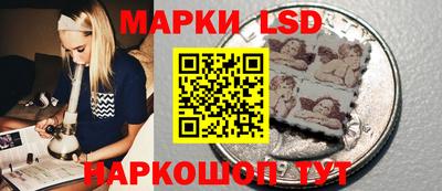 спиды Гай