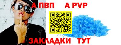 спиды Гай
