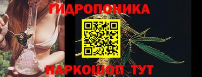 гидра Гагарин