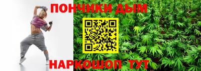 спиды Гай
