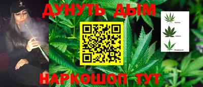 спиды Гай