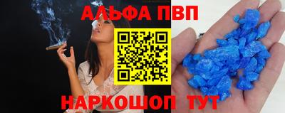 спиды Гай