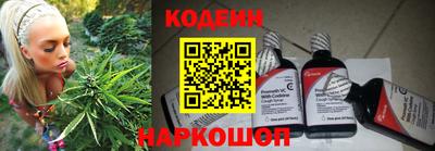 спиды Гай